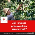 Potrzebujesz pracowników sezonowych?
