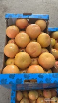 Witam.  Sprzedam Grapefruit turcja caliber 28/32/36 na niedzielę wjazdy 2 samochody karton box 15kg netto 