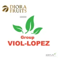 Firma Group Viol-lopez Sp z oo szukam na eksport ogórki 35 cm , 400g-500g 
