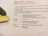 MARVI F1 ,  TESLIN F1 (j. 500n , tunel) nasiona ogórka brodawkowego firmy SAKATA oferuje GEPWEG dystrybutor nasion. Dostawa gratis....