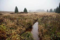 400 tysięcy hektarów objętych normą GAEC 2!