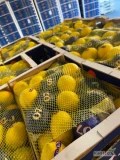 Do sprzedania ilości hurtowe cytryny hiszpańskiej, odmiana verna. Średnia waga netto- 10 kg. Dostępna ilość 26 palet. Oferta...