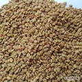  Sprzedam nasiona kozieradki (Fenugreek seeds) 
