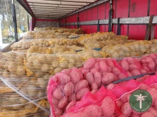 Ziemniaki miały pojechać do Rumunii, ale...