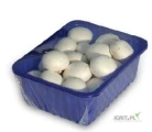 Sprzedam pieczarkę w tackach 500gr (tacka: niebieska, biała).