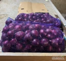SPRZEDAM CEBULĘ CZERWONĄ KAL 7+ worek 25kg kraj pochodzenia Hiszpania 