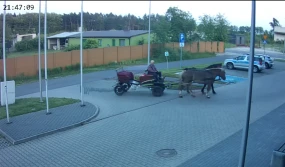 Konie przywiozły pijanego woźnicę na komendę - WIDEO