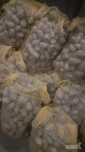 Sprzedam ziemniaki paszowe, pogryzione, pocięte, zielone, z parchem itd. Opakowanie worek 30 kg. Na ten moment posiadam około 1 tonę....