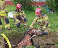 Strażacy ze Strzyżowa uratowali konia - ZDJĘCIA
