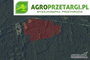 [ZAKOŃCZONE] Przetarg na dzierżawę 1,02 ha gruntu leśnego (poletek łowieckich) na czas nieokreślony
