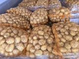 Sprzedam ziemniaki młode Riviera. 
