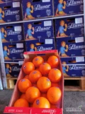 Do sprzedania ilości hurtowe pomarańczy hiszpańskich, odmiana lane late, kaliber 24 szt. Średnia waga netto- 9,5 kg. Dostępna ilość...