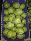 Sprzedam gruszkę lukasowke za wagę w skrzyni lub na gotowo łuszczka 12kg ilość ok 40 ton.
