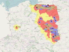 ASF wykryte przypadkiem? Szukajmy padłych dzików w całej Polsce!