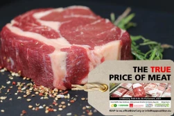 Czy zmuszą nas do weganizmu? Szykuje się podatek od mięsa...