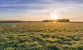 Jest zgoda na nawozy azotowe od 15 lutego!