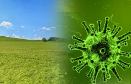 ARiMR: Nowy termin składania oświadczeń!