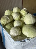 Sprzedam  kapustę  na Przemysl duże ilości 