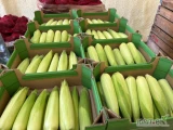 Sprzedam kukurydzę cukrowa z własnego gospodarstwa,pakowane na tacka, kolba, worek opakowanie do uzgodnienia , towar świeży zdrowy i...