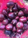 Sprzedam Cebula czerwona Kaliber 5 - 9  . Zdrowy suchy towar. Import z Egiptu ,
