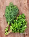 Sprzedam koperek i pietruskie natki 
