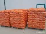 Sprzedam cebulę w łusce worek lub big bag. Posiadam również marchew mytą pakowaną w worek szyty.