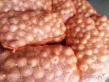 Sprzedam cebulę kaliber od 4.5 do 8 . Zrobione 2500kg