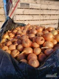 Sprzedam cebula import Niemcy . Towar wysortowany jakość marketowa ilości tirowe. Big bag luz worek 