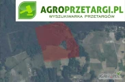 Przetarg na dzierżawę 34,38 ha gruntu rolnego na czas nieokreślony – RIVb, RV, RVI, ŁIV, ŁV, PsIV, PsVI
