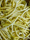 SPRZEDAM! FASOLA SZPARAGOWA ŻÓŁTA. CENA DO UZGODNIENIA. PAKOWANA W WOREK/KARTON