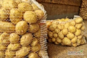 Sprzedam ziemniaka młodego riviera możliwe większe ilosci