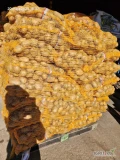 Sprzedam ziemniaka jadalnego odmiany Jurek. Ziemniak sortowany, pakowany w szyte worki po 15 kg w ilości 5 ton