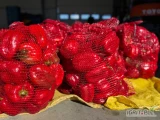 Witam mam na sprzedaż 420kg papryki czerwonej