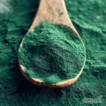 Sprzedam spirulinę w proszku w opakowaniach zbiorczych 25kg.
