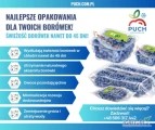 Wydłuż świeżość borówki nawet do 45 dni – bez konieczności stosowania kontrolowanej atmosfery!
