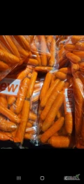 Sprzedam marchew handlową, po szczotkarce, w worku foliowym 10kg