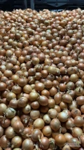 Sprzedamy cebulę żółtą, wysortowaną, po inspekcji. Kaliber 50/70. Opakowanie do uzgodnienia, big bag, worek.
