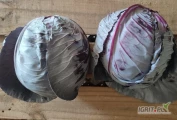 Sprzedam kapustę czerwoną na przemysł 1,5 kg-4 kg ,z przewagą 2kg+,zdrowa