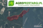 Przetarg na dzierżawę 64,83 ha jeziora na 15 lat – Ws
