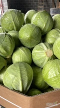 Witam,  sprzedam tirowe ilości kapusty białej kaliber 1-3.5 kg oraz kapustę płaską Green lunar. Towar czysty i zdrowy, bardzo ładny....