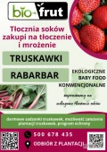 Tłocznia soków BIO-FRUT zakupi truskawkę konwencjonalną oraz ekologiczną na tłoczenie ii mrożenie. Zapewniamy dowolne opakowania...