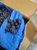 Witam, oferuję do sprzedaży owoc Borówki mrożonej . Możliwość przygotowania towaru pod klienta . Zapraszam do kontaktu i zakupu . 