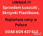 Sprzedam różne rozmiary i wzory skrzynek na owoce duży wybur duży asortymęt ilości cało samochodowe 