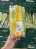 Sprzedam kukurydzę cukrową, schłodzona, opakowanie dowolne, luz, tacka, flowpack.
