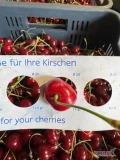 Sprzedam Czereśnie Lorenz Dzisiejszy zbiór 

