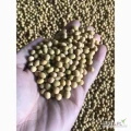 Sprzedam soję. Kraj pochodzenia Ukraina. Objętość od 100 ton. Są GMO i nie-GMO. Dostawa samochodowa, w big bagach. Białko min. 35%