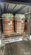 Kupię kapustę białą handlową czysta bez wcierniastka kaliber 1kg -3.5 kg w karton boks ilości tirowe i kapustę pekińska  płatne na...