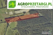 Przetarg na dzierżawę 10,61 ha gruntu rolnego na 5 lat – RVI, ŁV, N, W-ŁV, W-RVI, LsVI

