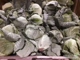 Sprzedam kapustę włoską z liściem od 0.7kg do 2kg oraz bez liścia i na surówkę. Towar marketowy.