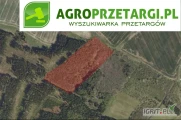 Przetarg na sprzedaż 4,89 ha gruntu rolnego – ŁIV
